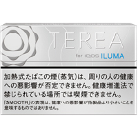 TEREA坚果/テリア スムース レギュラー