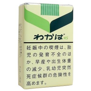 若叶软盒/わかば KS